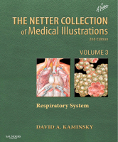 The_Netter_Collection_of_Medical_Illustrations_Respiratory_System.pdf